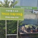 가시와다육이