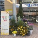 광교1동 행정복지센터 이미지