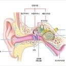 소리와 파동 판소리 음악은 질서 이미지