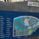 판교로228번길 이미지