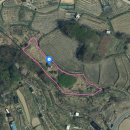 내서읍527 이미지