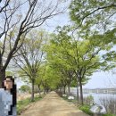 눈이야기 | 하남 한강뷰 카페 🌿 드로게리아 | 브런치+식품마켓 이색 복합카페 루프탑 솔직 후기