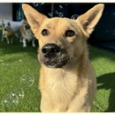 아이조아요양보호소 안양점 이미지