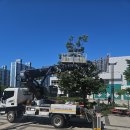 스카이코리아 이미지