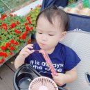노브랜드 위례창곡점 | 노브랜드 에그타르트, 후회없는 디저트 내돈내산 후기