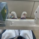 연세한아름약국 | 221205-221211 일상기록 무난하고 조용했던 한 주 그리고 채또건대