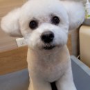 멍그라밍 이미지