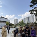 연세초등학교 | 세종 연세 초등학교 방문 후기