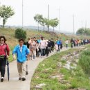 합덕 이팝나무 이미지