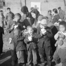 한국 청소년적십자 이미지