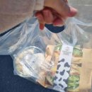 새동네목장 이미지