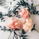행복한부산맘 이미지