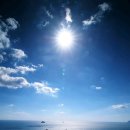 시인의 내일 이미지