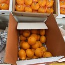 삼우농원 이미지