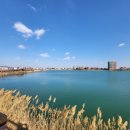 대복대구탕뽈찜 이미지