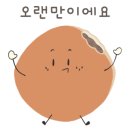 판다김밥 이미지