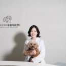 별내동물병원 이미지