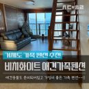 비치화이트애견펜션 이미지