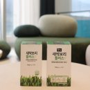 주성섬유 | 새싹보리