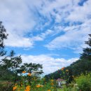 초당지펜션 이미지