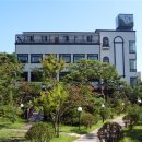 활천삼거리 김해방향 이미지