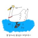 백조 - 제주시 산지로 39 | 백조