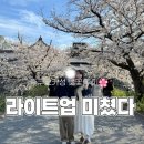 뽑아보자 시내점 | 후쿠오카성 벚꽃축제 라이트업 후기 | 사람 많아도 또 가고 싶은 이유 (3월 일본 벚꽃 여행 기록)