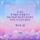 새하늘 - 3131 | 새하늘