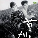 《草を刈る娘》（1961） 이미지