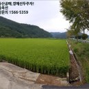 공주시유구읍추계보건진료소 이미지