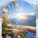 스카이패러글라이딩스포츠 | 스위스 인터라켄 여행 패러글라이딩 가격 예약 후기 꿀팁