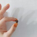 수미상사 이미지