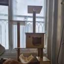 오 마이 캣 | 고양이 캣타워 19900원 득템했어요 ft,고양이집,원목캣타워,흔들리지않는캣타워,펫프렌즈캣타워