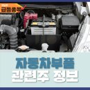 에이치비스포츠 이미지