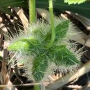 광주무돌교회 | 라이딩 묵상 10/24(금) “칼 바르트와 꽈리”