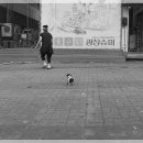 아지야 놀자 이미지