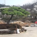 순천세계수석박물관 이미지