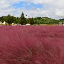 낙동강변 이미지