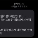 럭키코알라