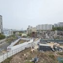 본동 이미지