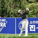 하이트퀸 이미지