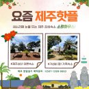 소랑하우스 이미지