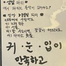술취한 피아노 이미지