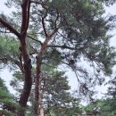 망양리 대게공원 네이버블로그