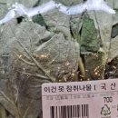 쩝쩝박사의 돼구여행 맛집 추천