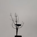 진또베기 이미지