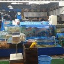 활어도매시장 이미지