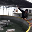 유치면 행정복지센터 이미지