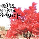 시니어스마트폰 이미지