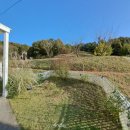 아드레이 이미지